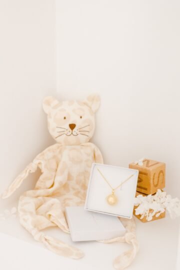 Box grossesse - bola de grossesse GAÏA + Doudou bola brodé